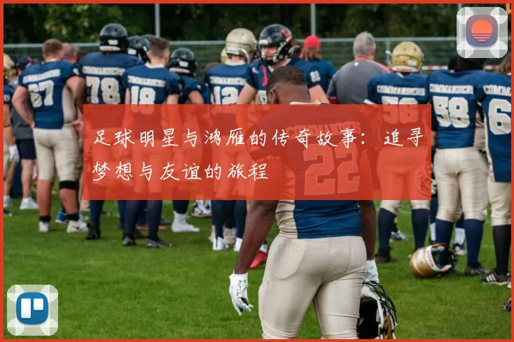 足球明星与鸿雁的传奇故事：追寻梦想与友谊的旅程