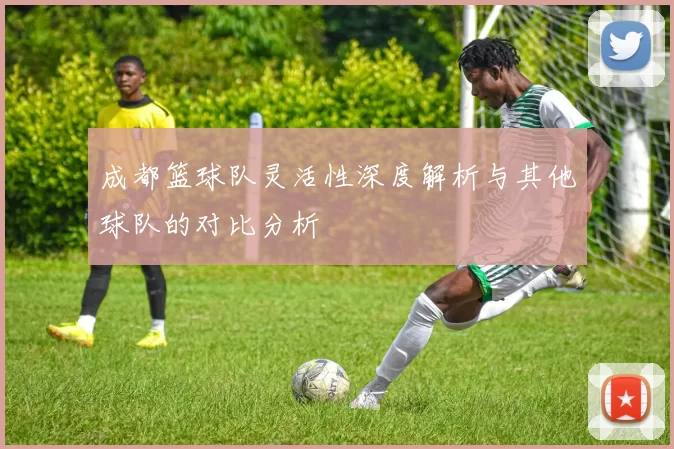 成都篮球队灵活性深度解析与其他球队的对比分析