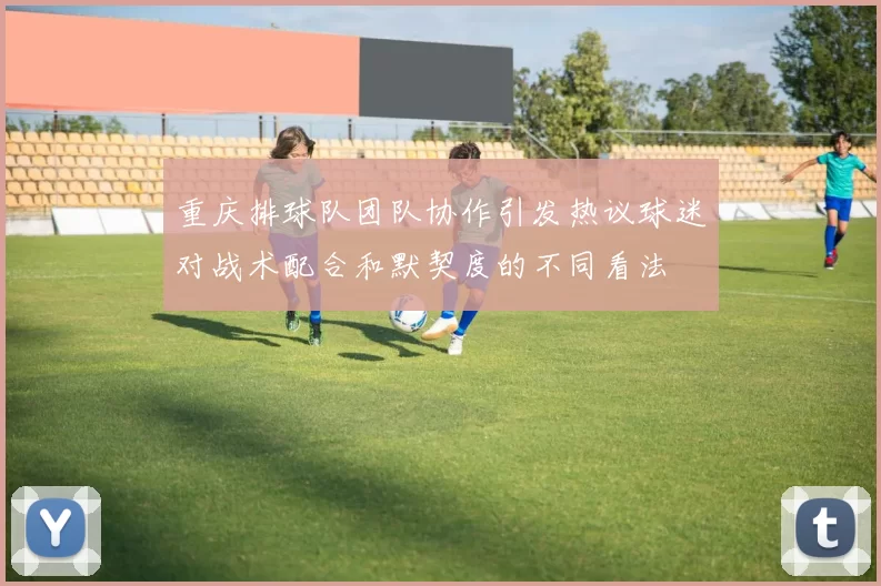 重庆排球队团队协作引发热议球迷对战术配合和默契度的不同看法