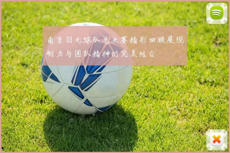 南京羽毛球队总决赛精彩回顾展现耐力与团队精神的完美结合