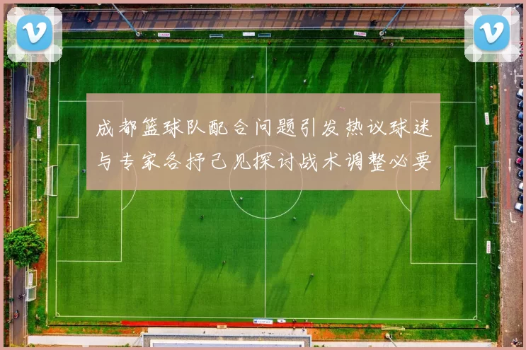 成都篮球队配合问题引发热议球迷与专家各抒己见探讨战术调整必要性