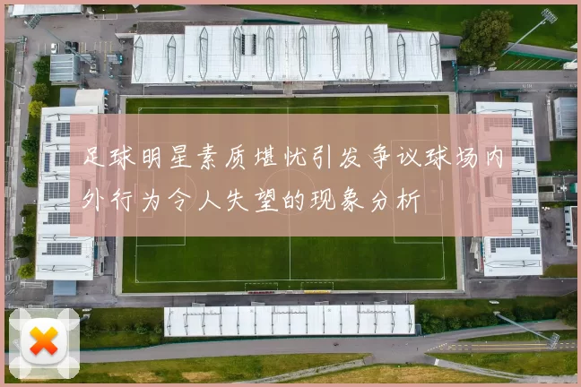 足球明星素质堪忧引发争议球场内外行为令人失望的现象分析