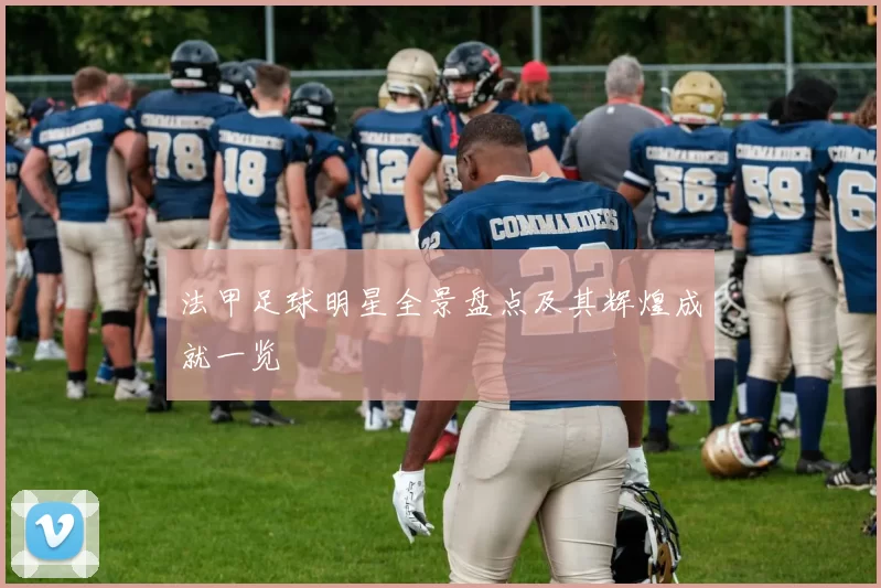法甲足球明星全景盘点及其辉煌成就一览