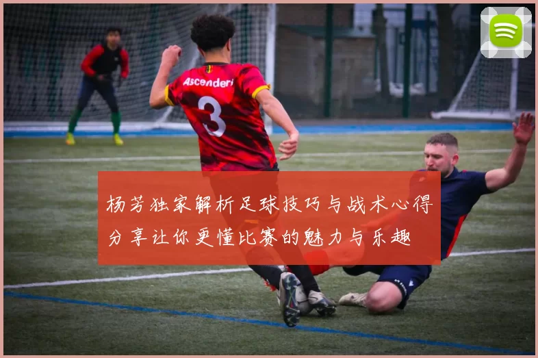 杨芳独家解析足球技巧与战术心得分享让你更懂比赛的魅力与乐趣