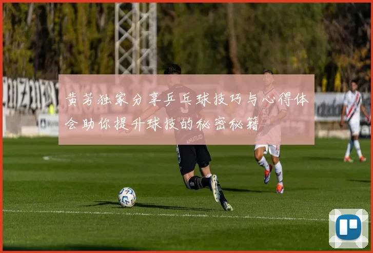 黄芳独家分享乒乓球技巧与心得体会助你提升球技的秘密秘籍