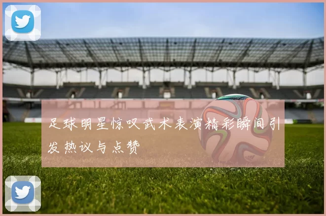 足球明星惊叹武术表演精彩瞬间引发热议与点赞