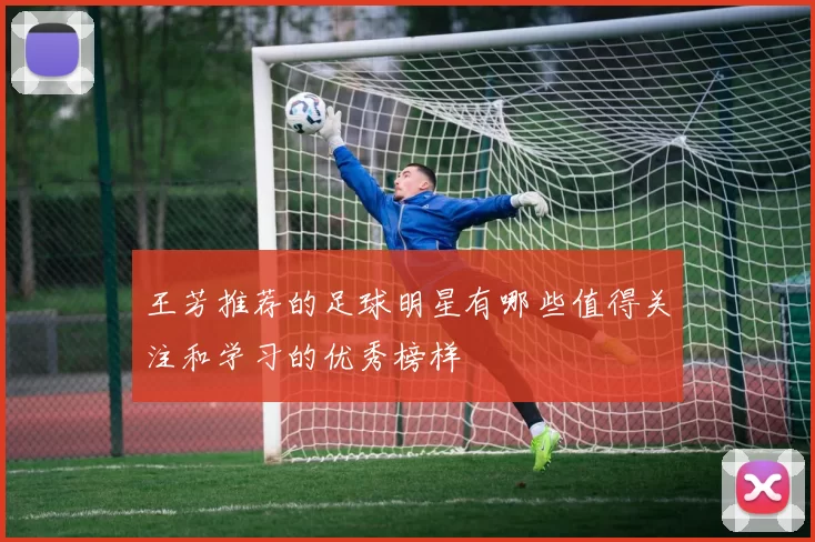 王芳推荐的足球明星有哪些值得关注和学习的优秀榜样