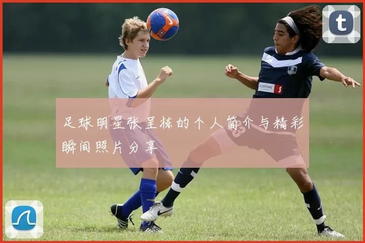 足球明星张呈栋的个人简介与精彩瞬间照片分享